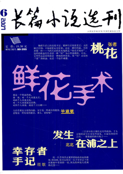 期刊封面
