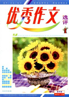 期刊封面