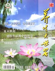 期刊封面