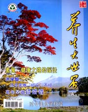 期刊封面