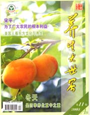期刊封面