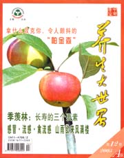 期刊封面