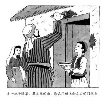 拿一把牛膝草，蘸盆里的血，涂在门楣上和左右的门框上
