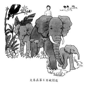 大象在第6日被创造