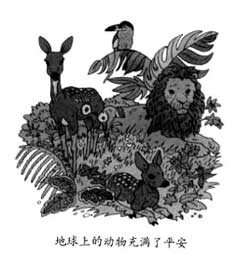 地球上的动物充满了平安