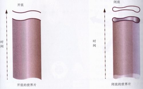 弦世界