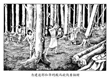 为建造耶和华的殿而砍伐香柏树