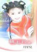 窃走君心
