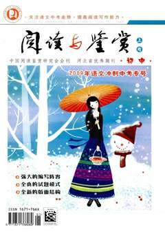 期刊封面