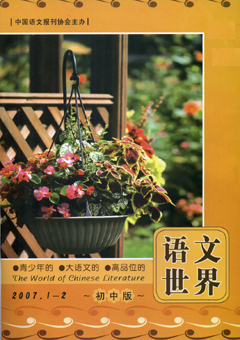 期刊封面