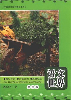 期刊封面