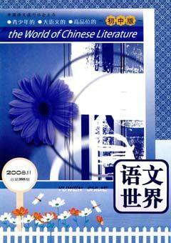 期刊封面