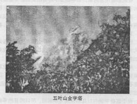 b40.jpg (10677 字节)
